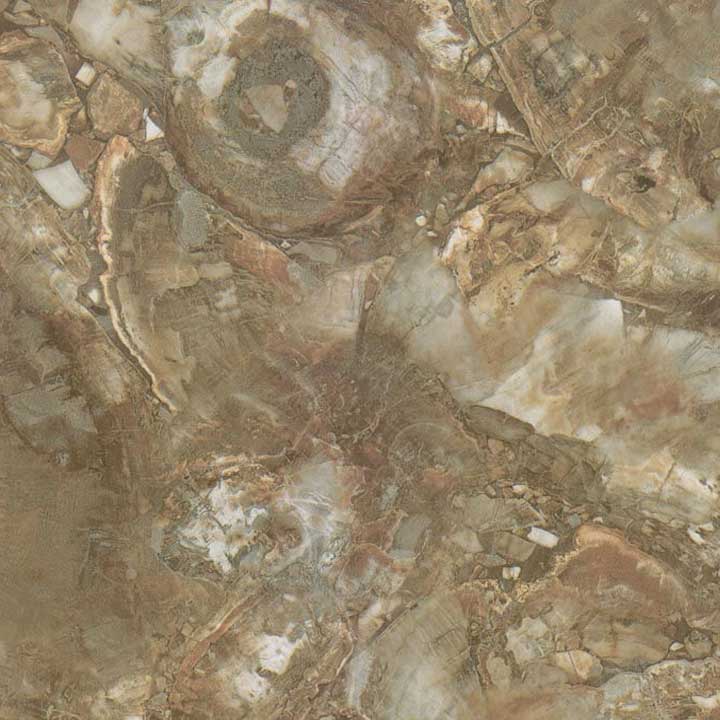 科技石材/BJF-5D022 浅木化石